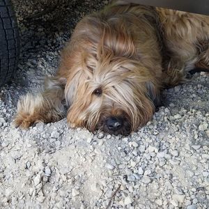 Meet your Posher, Tim